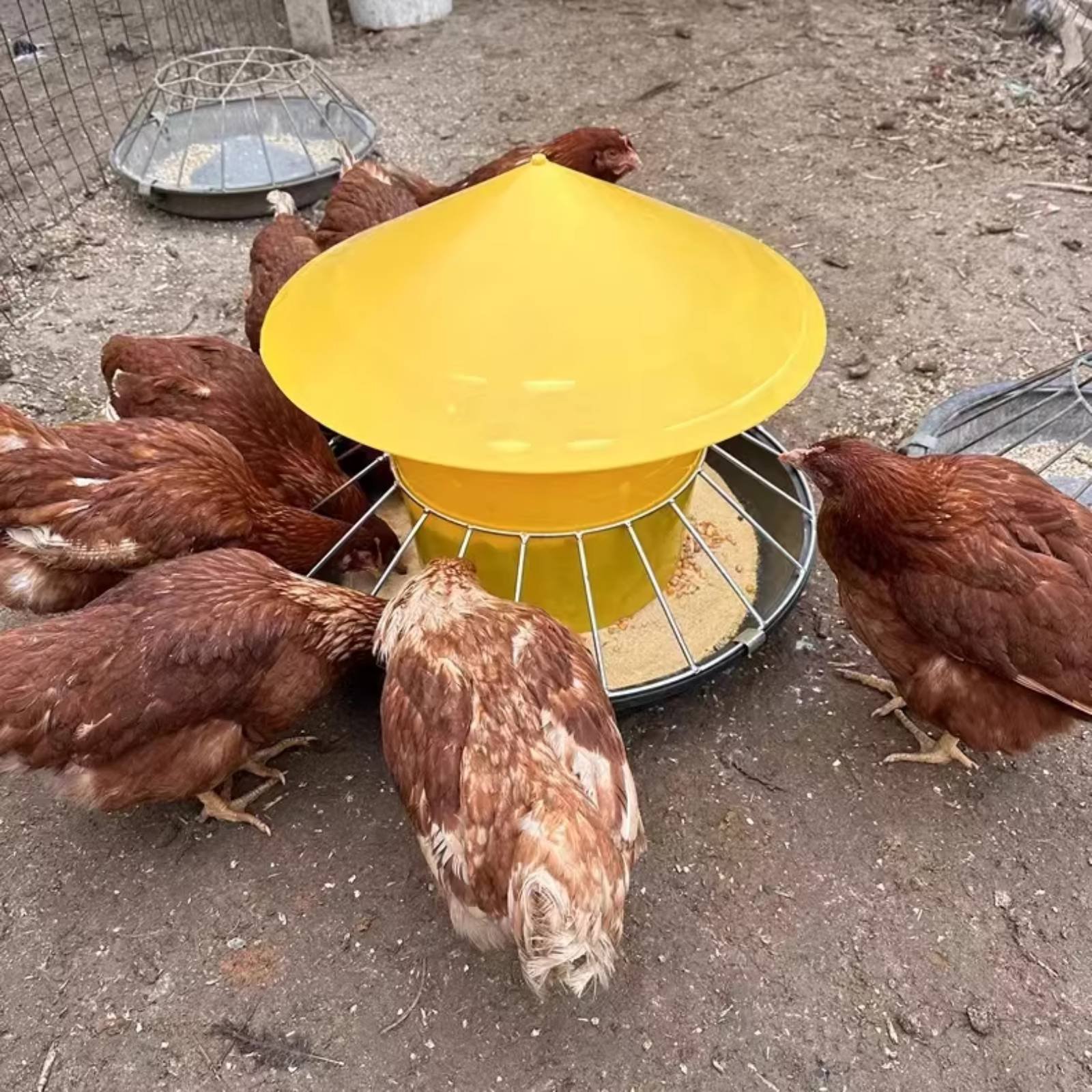 Круглая кормушка для домашней  – обзор и цена Feeding